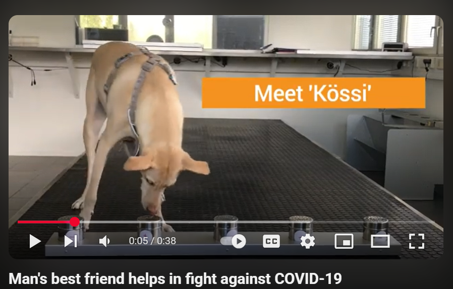 Man's best friend helps in fight against COVID-19