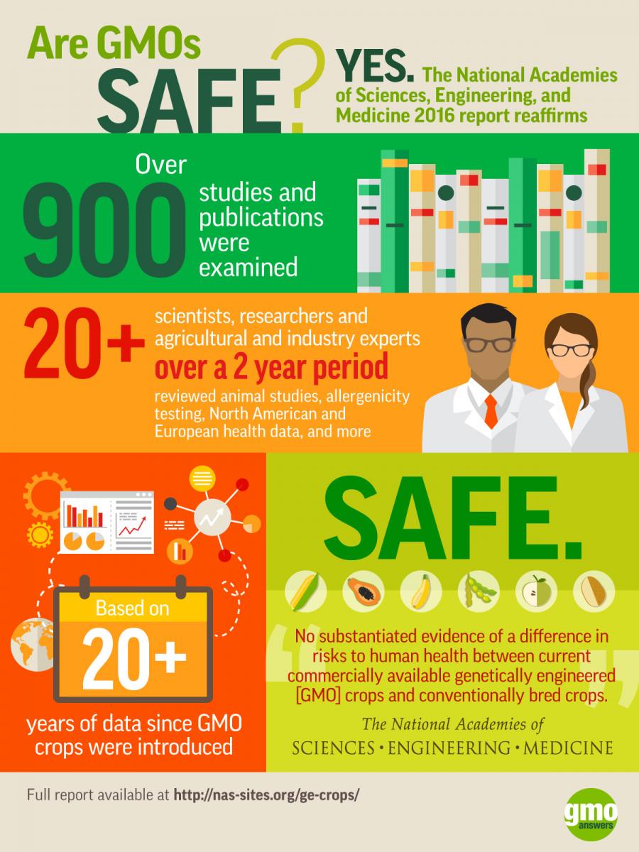 GMO infographics