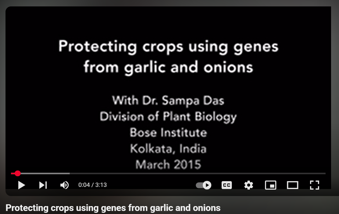 Protecting crops using genes from garlic and onions