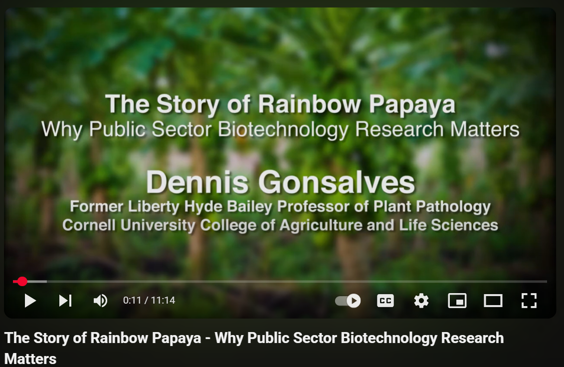 The Story of Rainbow Papaya - Why Public Sector Biotechnology Research Matters