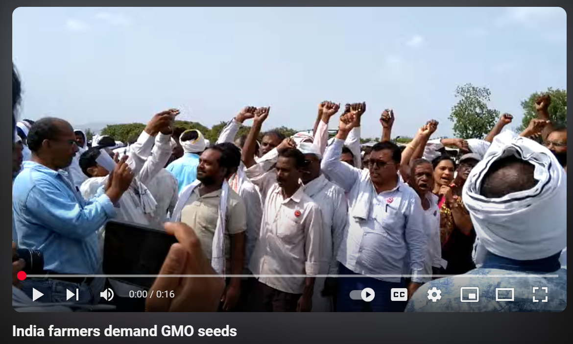 India farmers demand GMO seeds