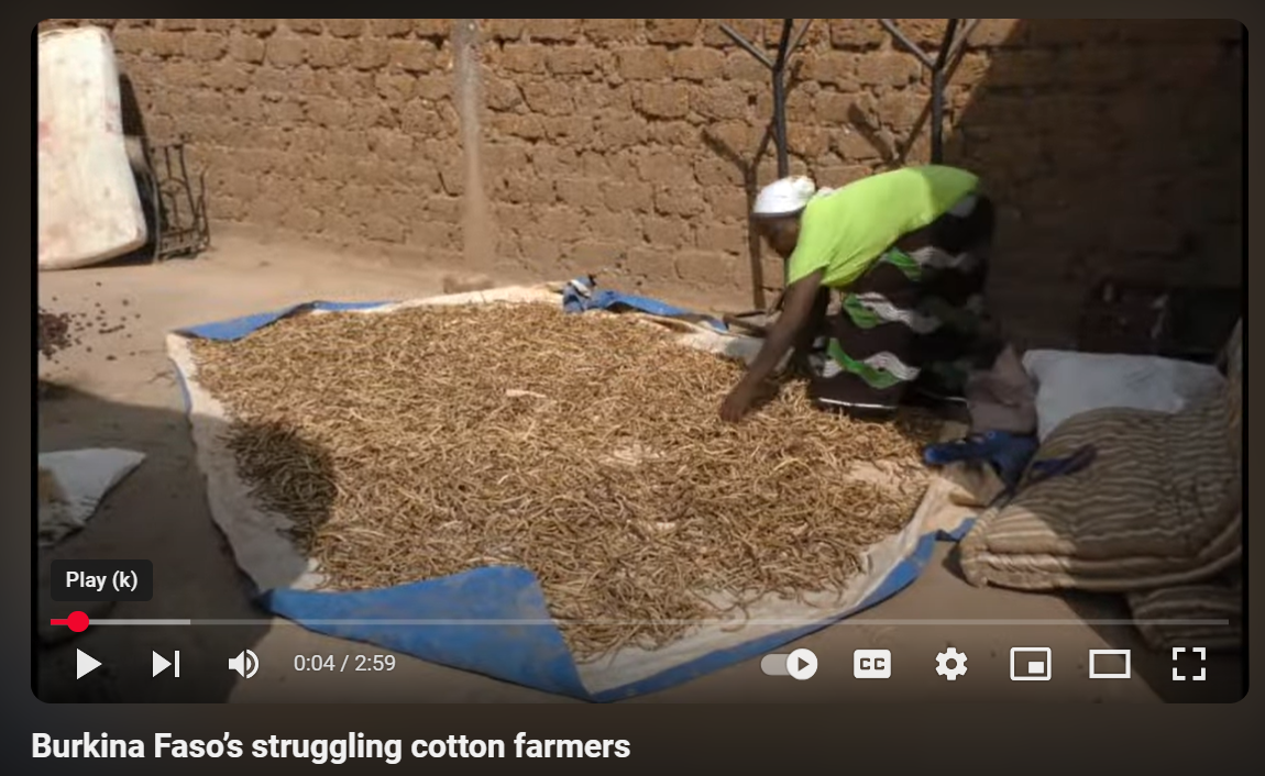 Burkina Faso’s struggling cotton farmers