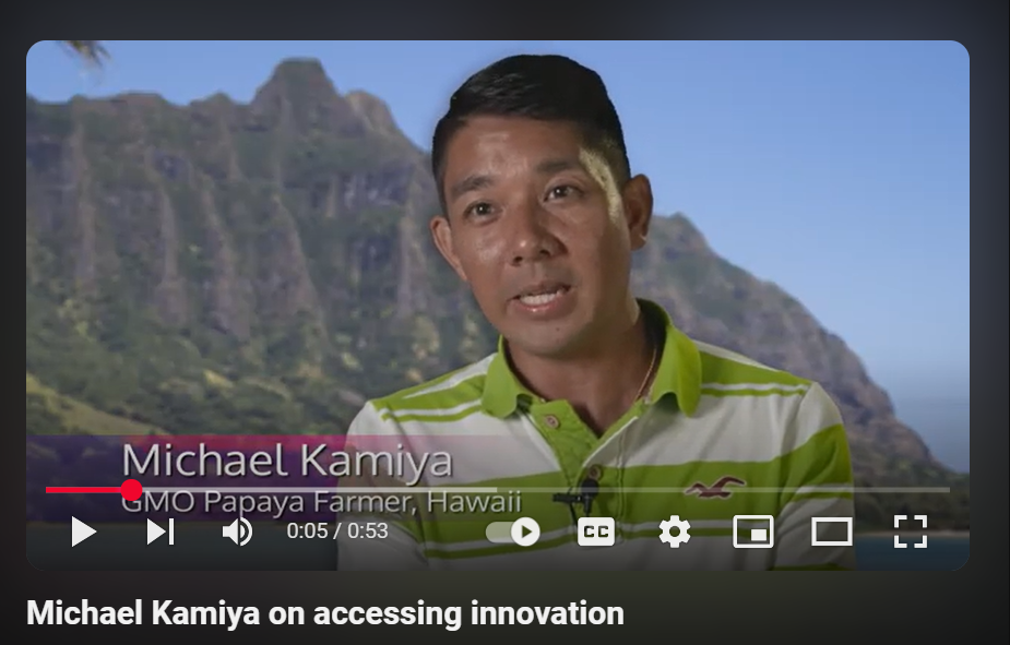 Michael Kamiya on accessing innovation