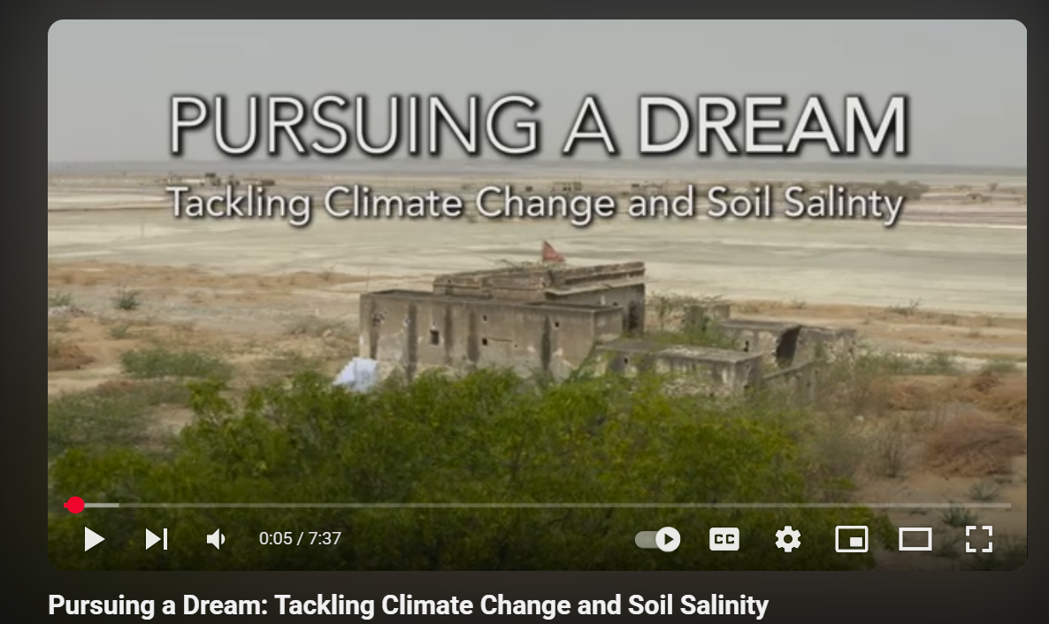 Pursuing a Dream: Tackling Climate Change and Soil Salinity