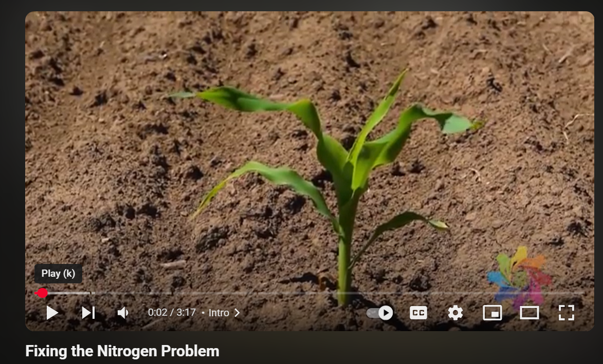 Fixing the Nitrogen Problem