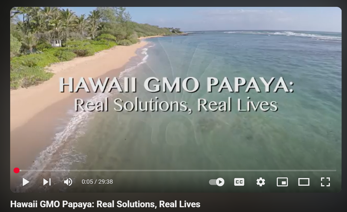 Hawaii GMO Papaya: Real Solutions, Real Lives