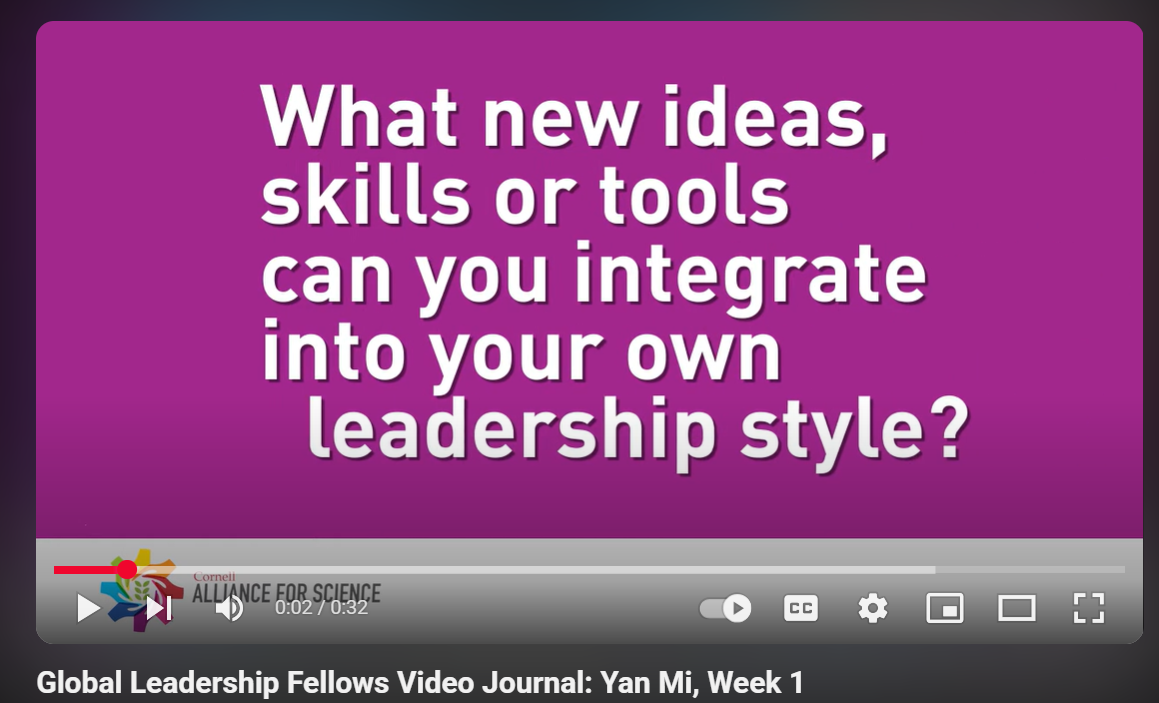 Global Leadership Fellows Video Journal: Yan Mi, Week 1