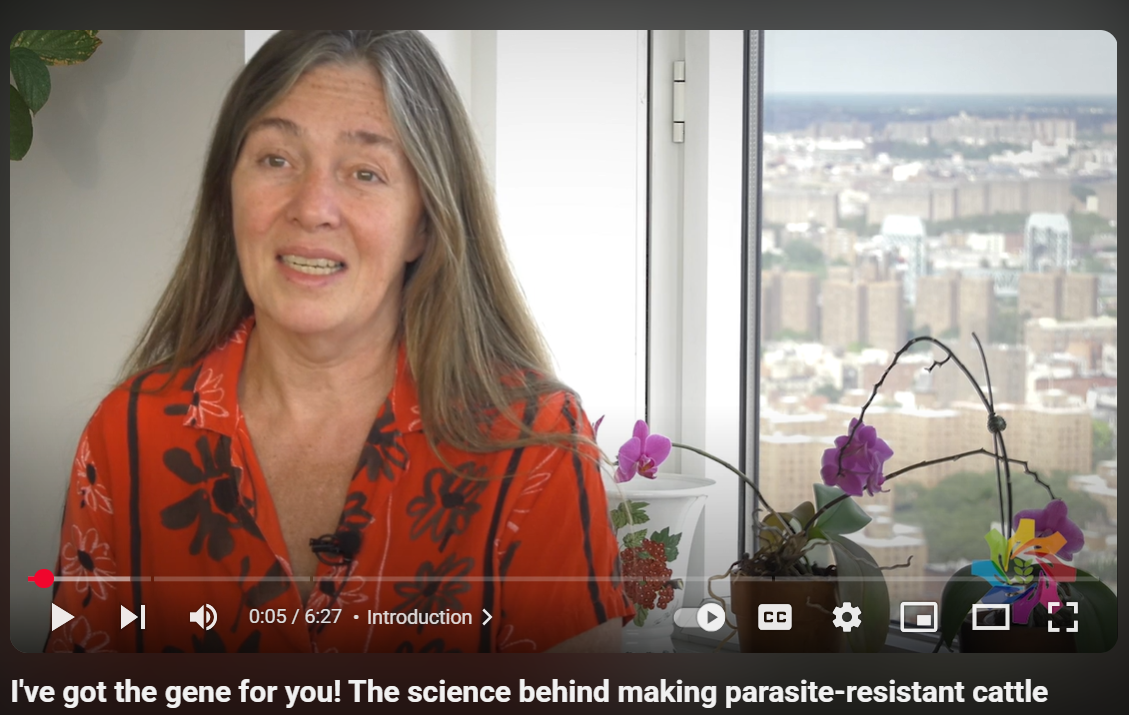 I've got the gene for you! The science behind making parasite-resistant cattle