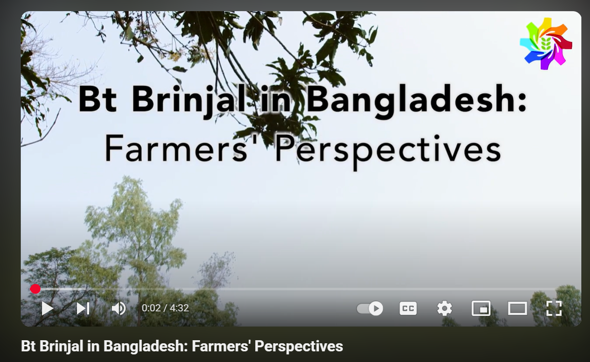 Bt Brinjal in Bangladesh: Farmers' Perspectives