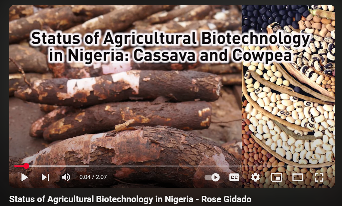 Status of Agricultural Biotechnology in Nigeria - Rose Gidado