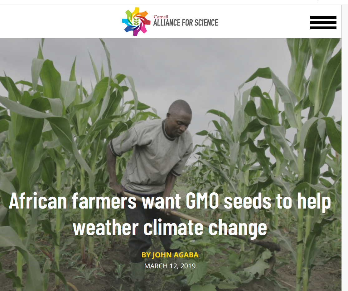 African farmers want GMO seeds to help weather climate change