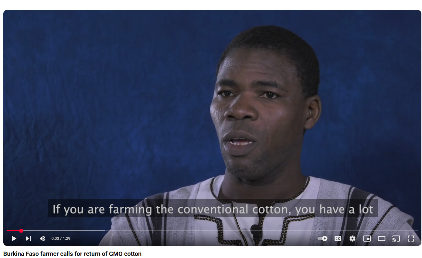 Burkina Faso farmer calls for return of GMO cotton