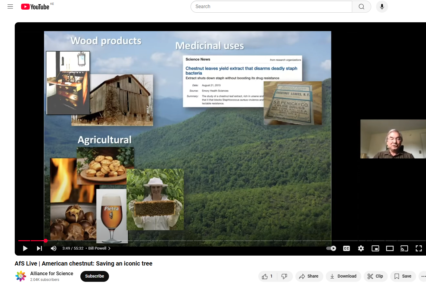 AfS Live | American chestnut: Saving an iconic tree