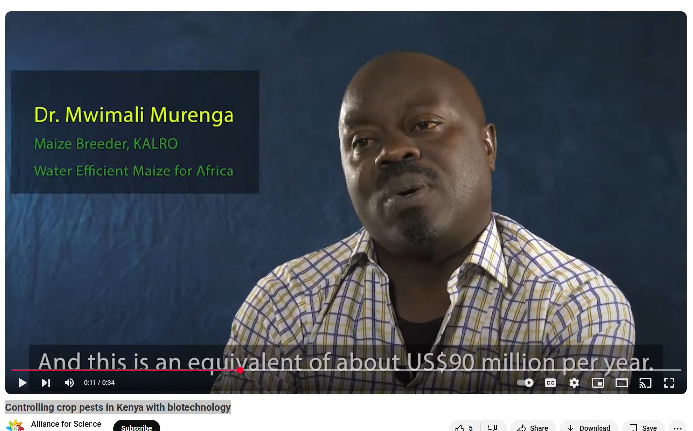 Controlling crop pests in Kenya with biotechnology