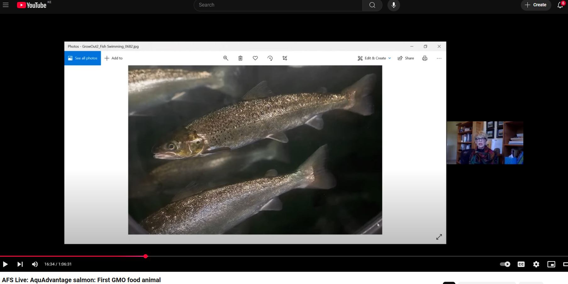 AFS Live: AquAdvantage salmon: First GMO food animal