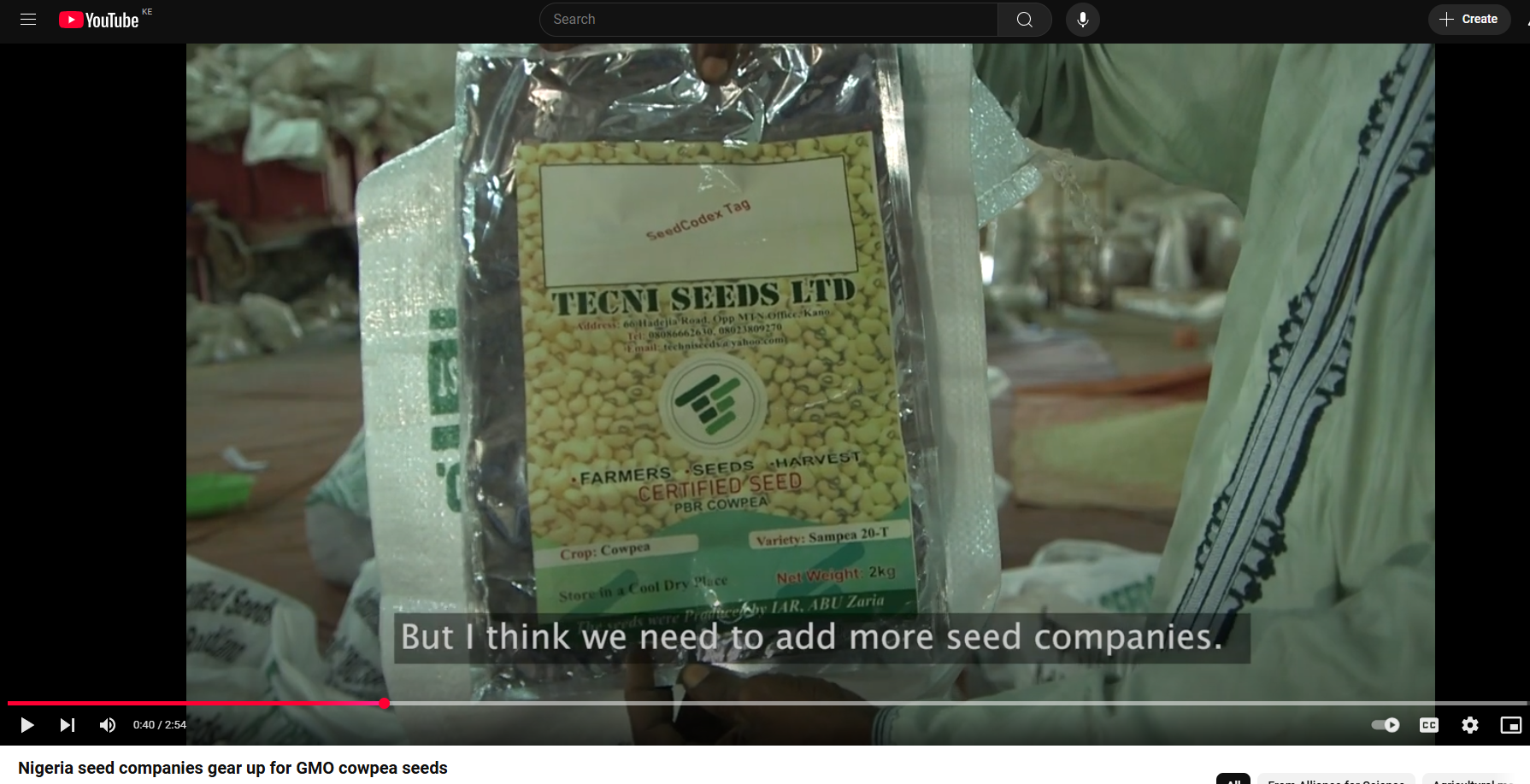Nigeria seed companies gear up for GMO cowpea seeds