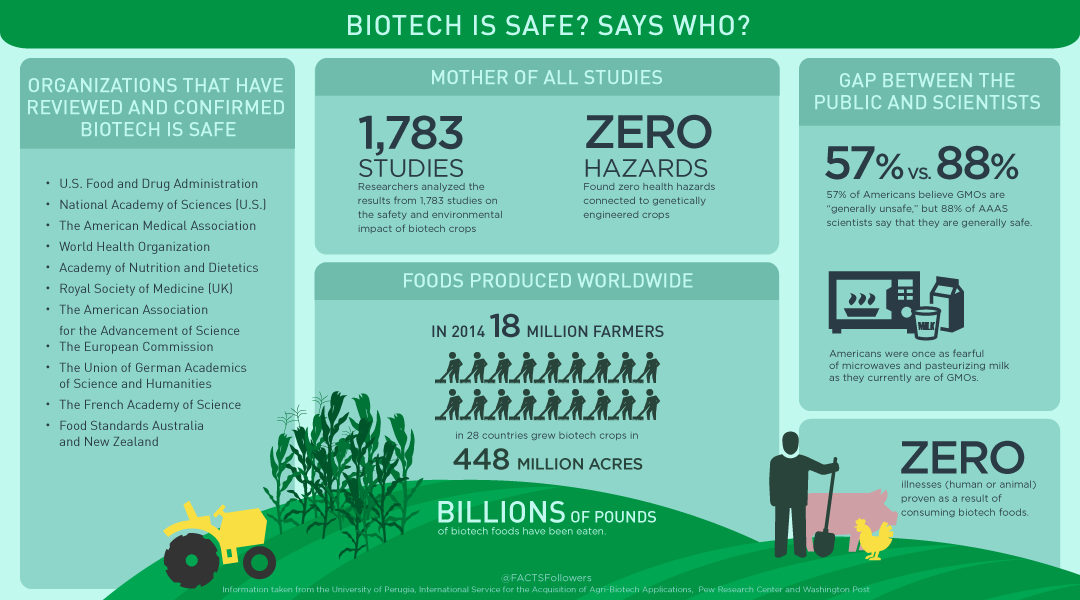 GMO infographics