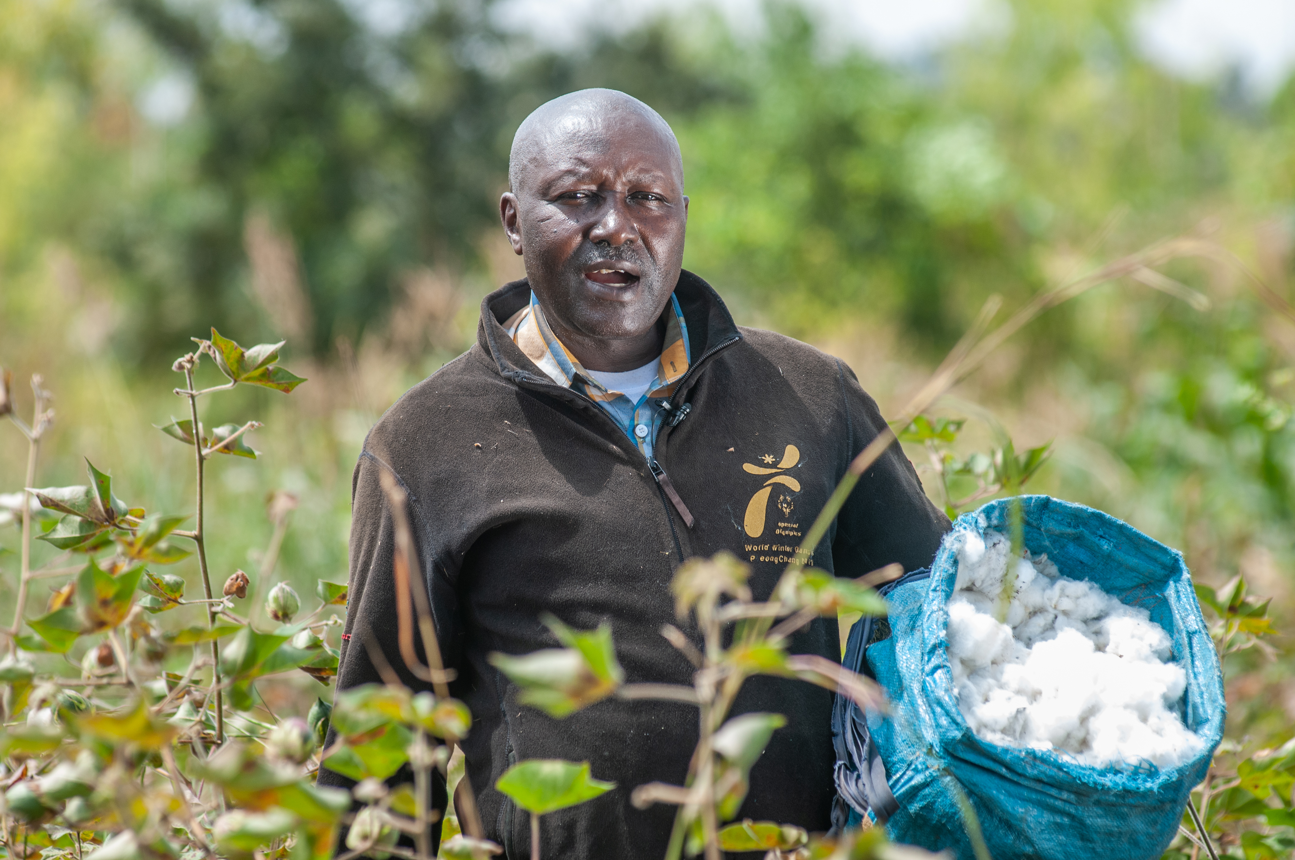 Mwea Bt cotton Farming